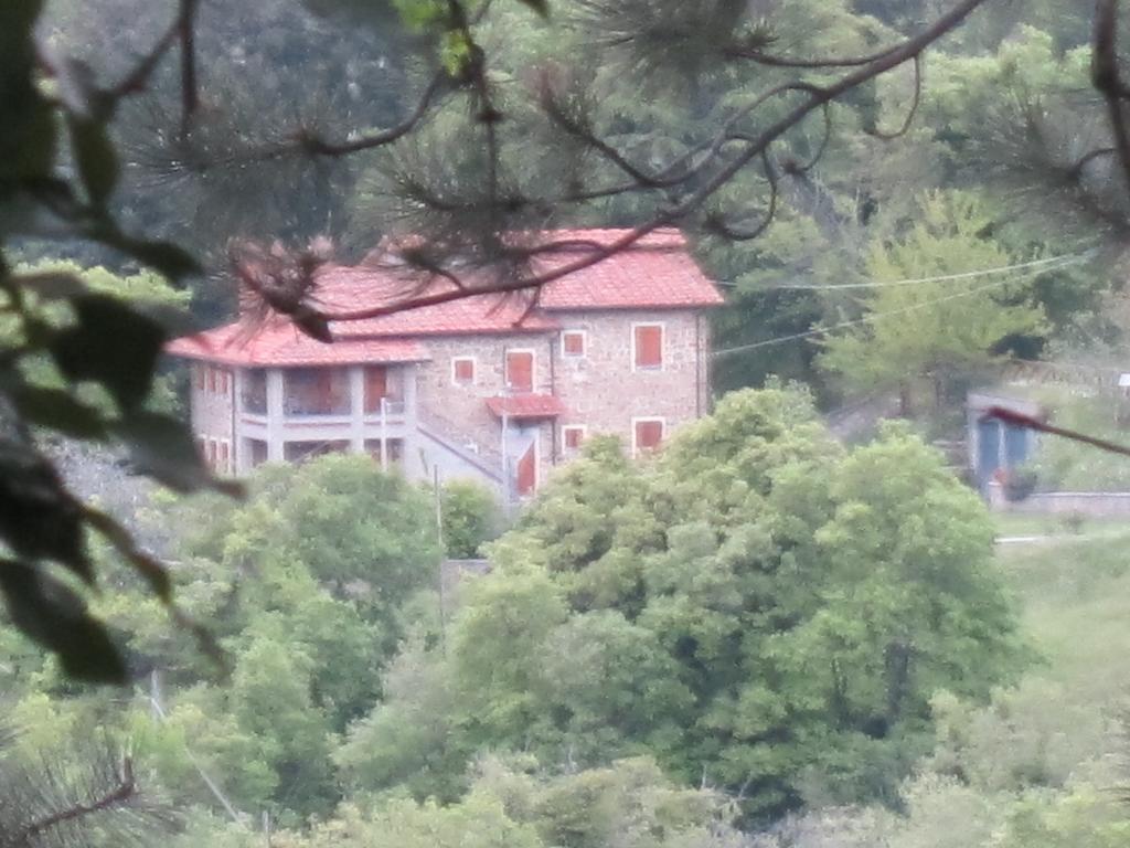 Bed And Breakfast Country Hill Arezzo Exteriér fotografie