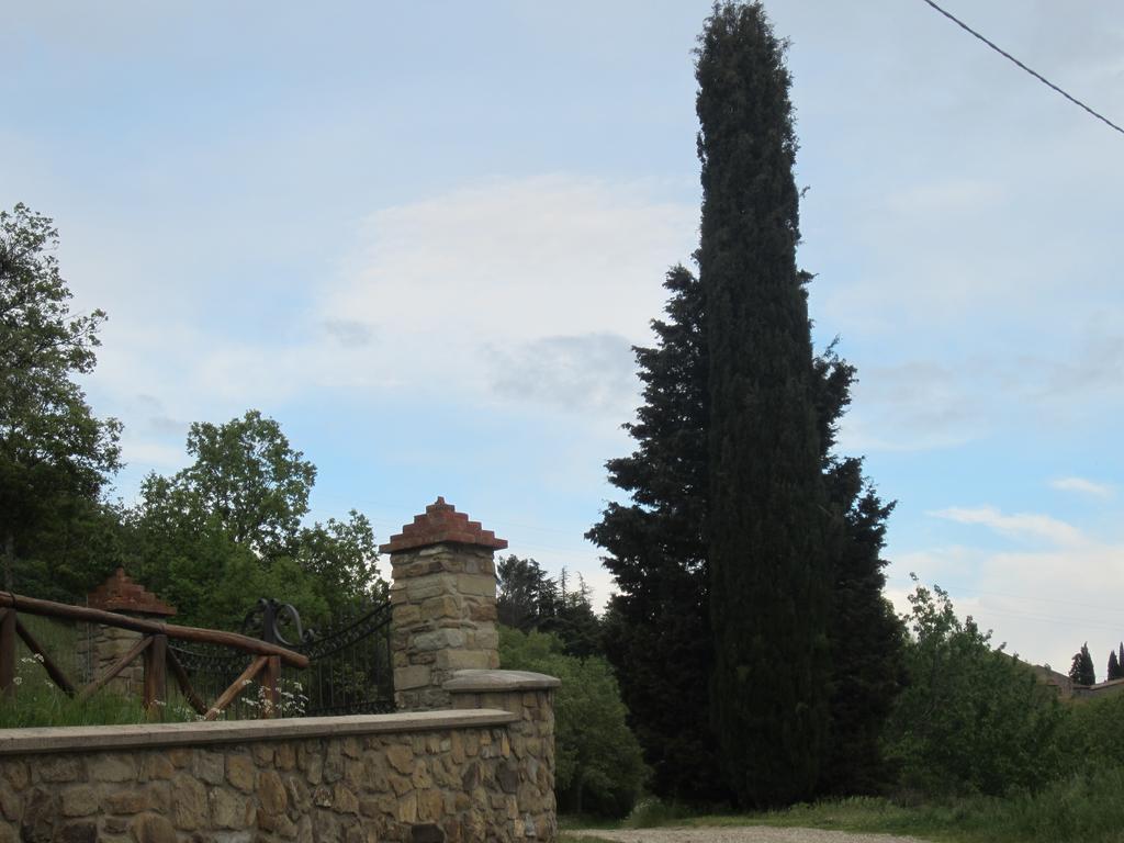 Bed And Breakfast Country Hill Arezzo Exteriér fotografie