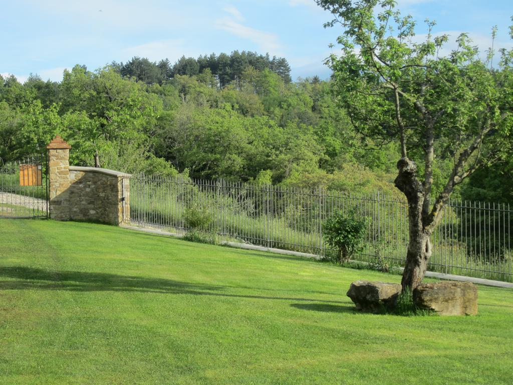 Bed And Breakfast Country Hill Arezzo Exteriér fotografie