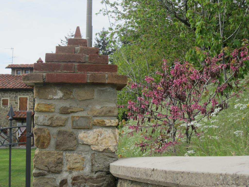 Bed And Breakfast Country Hill Arezzo Exteriér fotografie