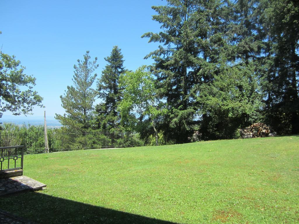 Bed And Breakfast Country Hill Arezzo Exteriér fotografie