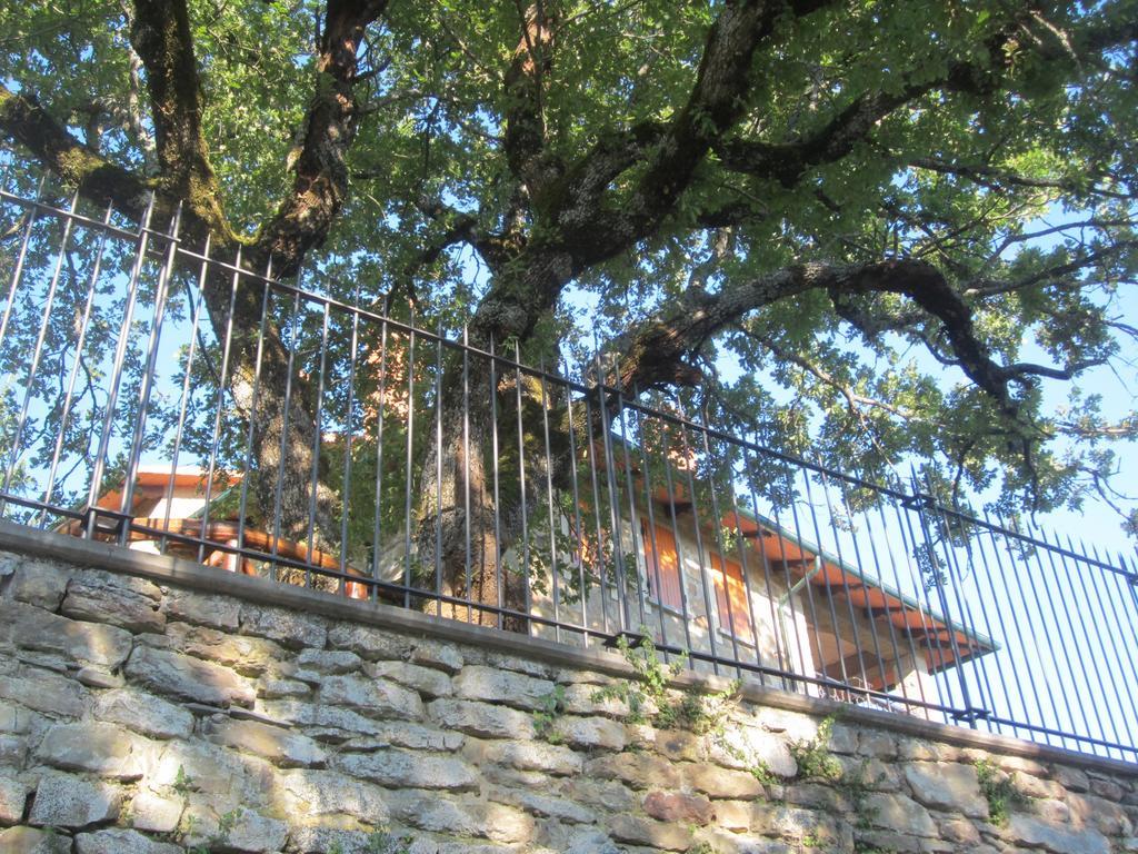 Bed And Breakfast Country Hill Arezzo Exteriér fotografie