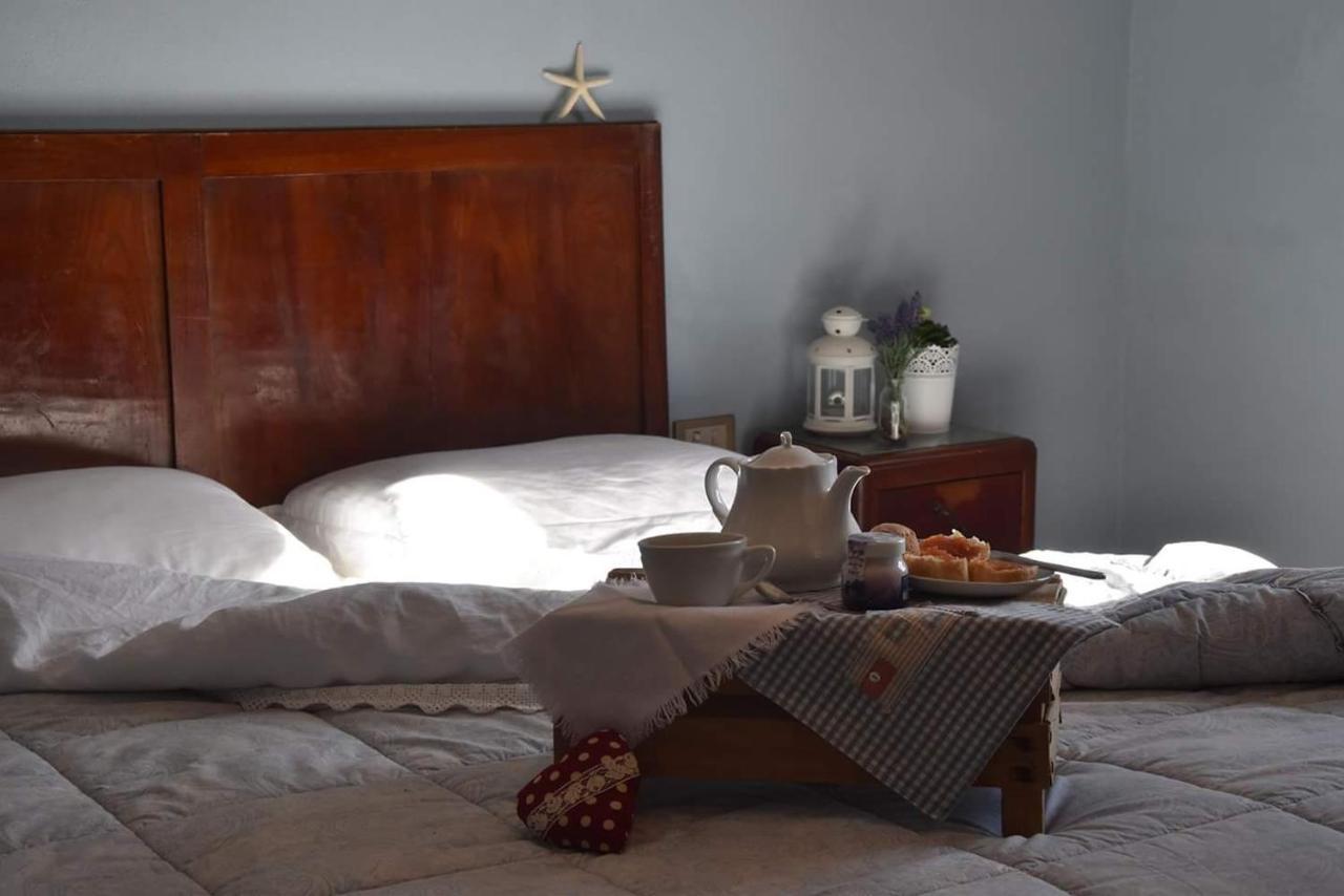 Bed And Breakfast Country Hill Arezzo Exteriér fotografie